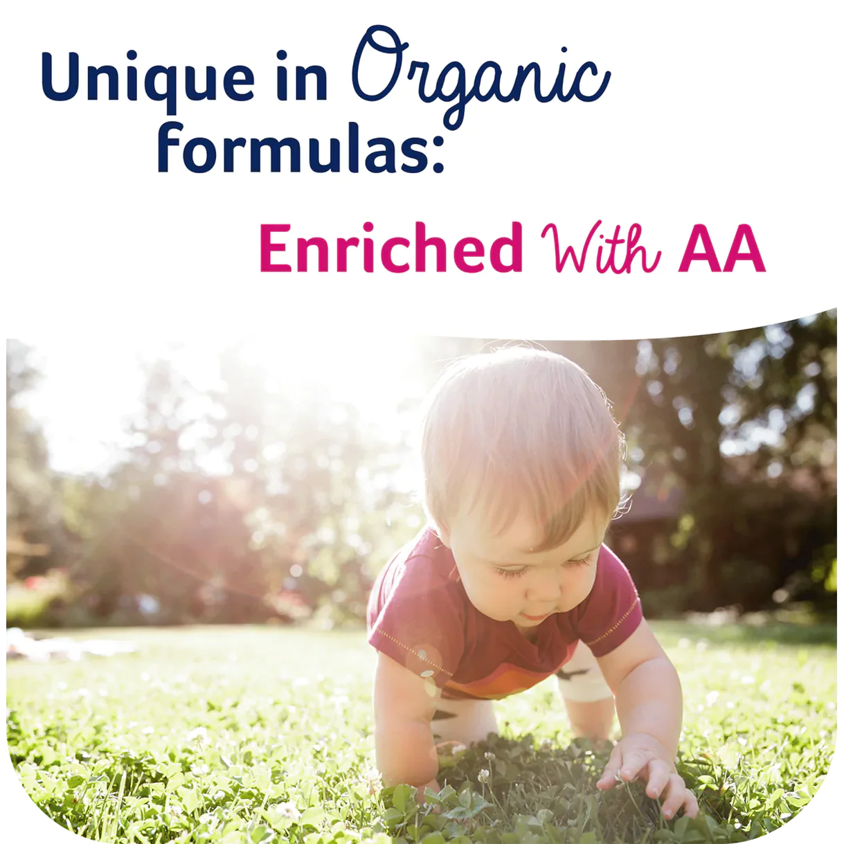 Jovie Organic Goat Follow-On Milk 800g - Stage 2 - 6 - 12 Months - Emmbaby Canada