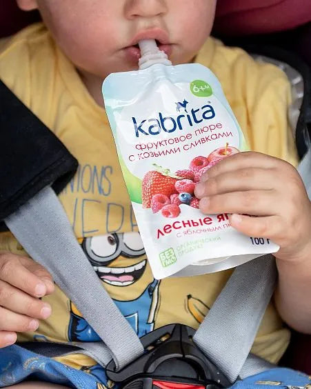 Kabrita Berries And Apple Puree With Sweet Goat Milk Cream 100 G - 6 Pouches - Emmbaby Canada
